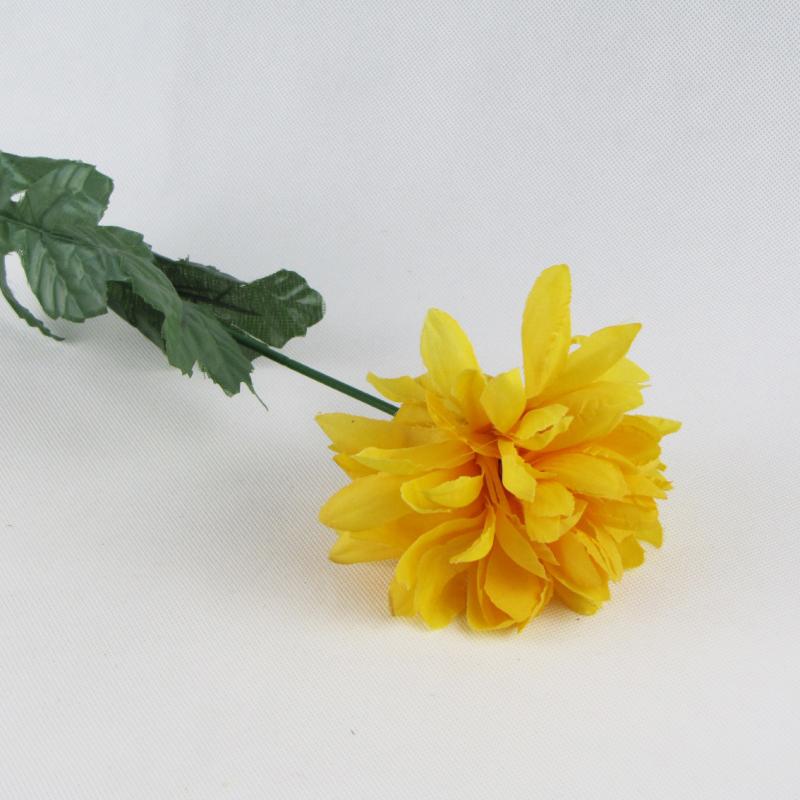 Chryzantema pojedyncza kwiat żółty 60cm