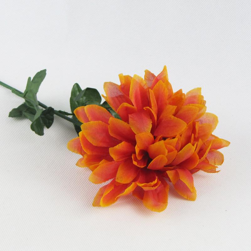 Chryzantema pojedyncza kwiat czerwono-pomarańczowy 60cm