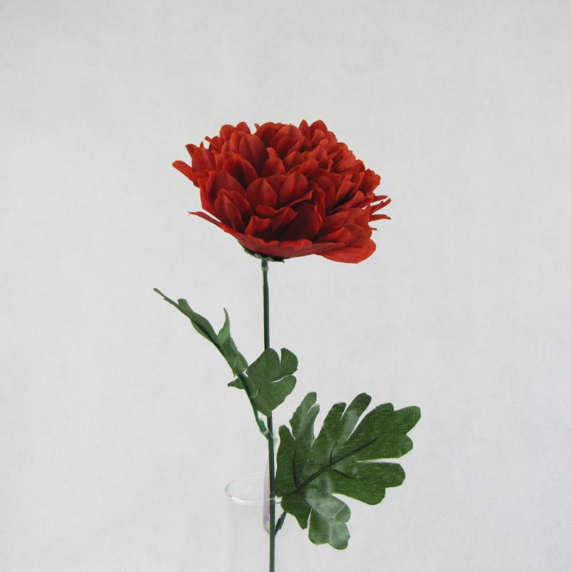 Chryzantema pojedynczy kwiat czerwony 55cm